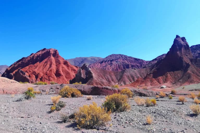 Leia mais sobre o artigo Atacama de carro: Conheça o Vale Arco-Íris, Lagunas Cejar e Tebinquiche