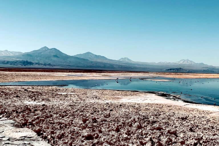 Atacama de carro: Passeio a Laguna Chaxa e a Vila de Toconao