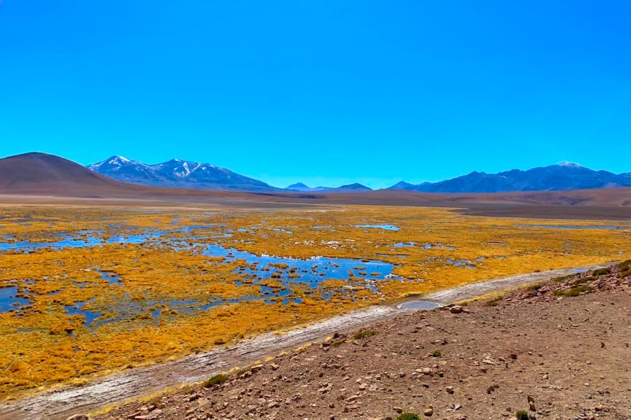 Atacama de carro: Gêiseres de Tatio e Termas de Puritana - Vista Vado do Rio Putana