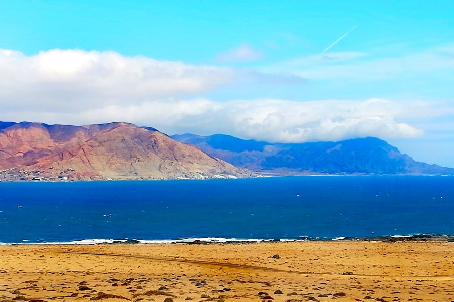 Atacama de carro - Vista do parque Pan de Azúcar – Trecho: Antofagasta a Bahia Inglesa