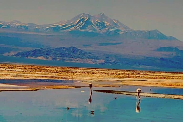 Atacama de carro: Passeio a Laguna Chaxa e a Vila de Toconao