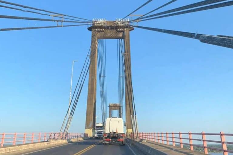 Atacama de carro: Praga de insetos no trecho Corrientes a Salta